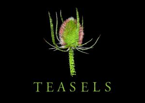 Teasels Logo